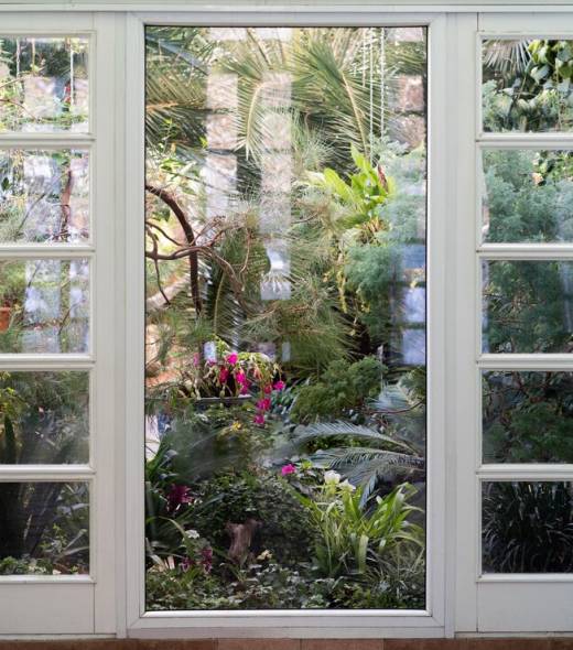 view-window-glasshouse-with-various-flowers-palms-other-tropical-plants-sunny-day_165285-2117 view-window-glasshouse-with-various-flowers-palms-other-tropical-plants-sunny-day_165285-2117